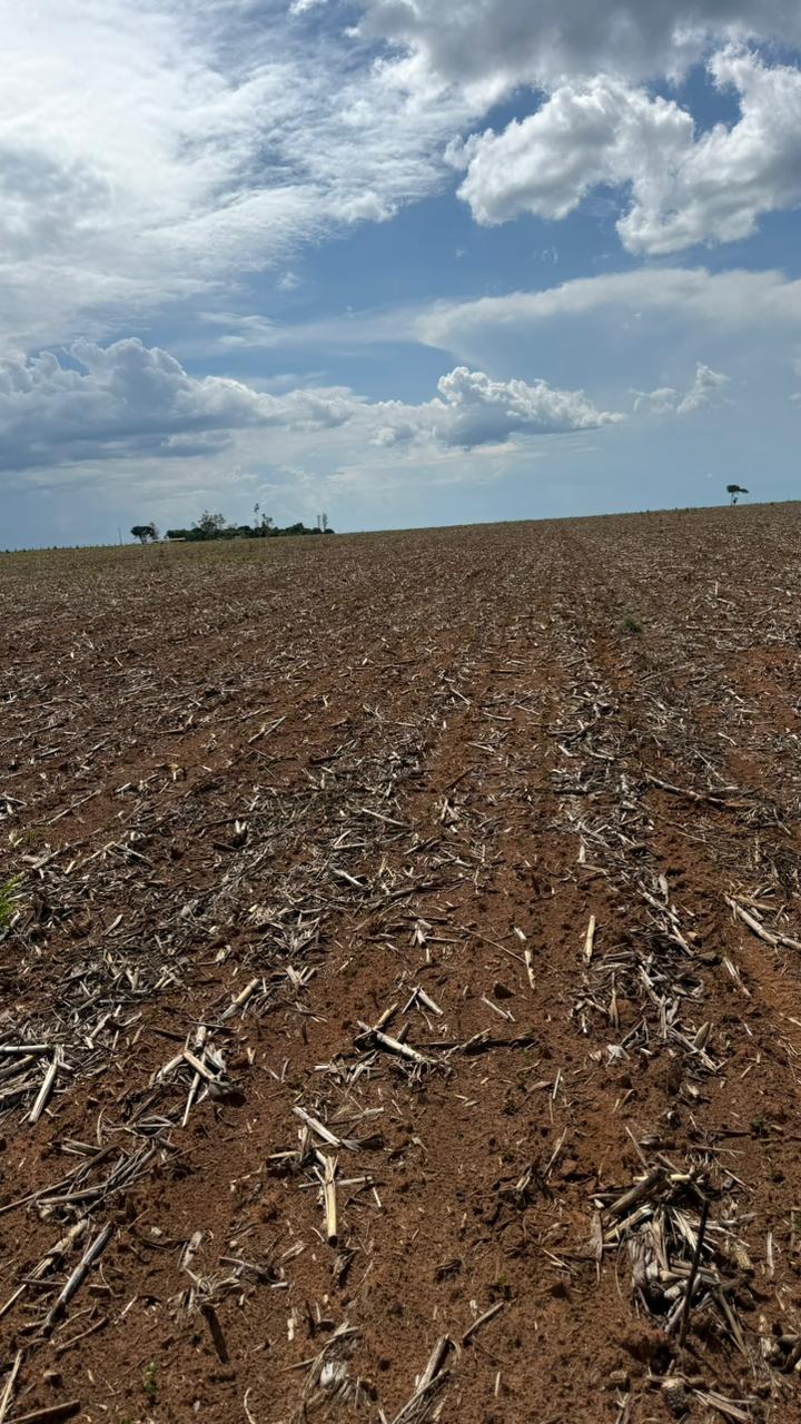 Fazenda 350 hectares — Santiago do Norte, Paranatinga/MT
